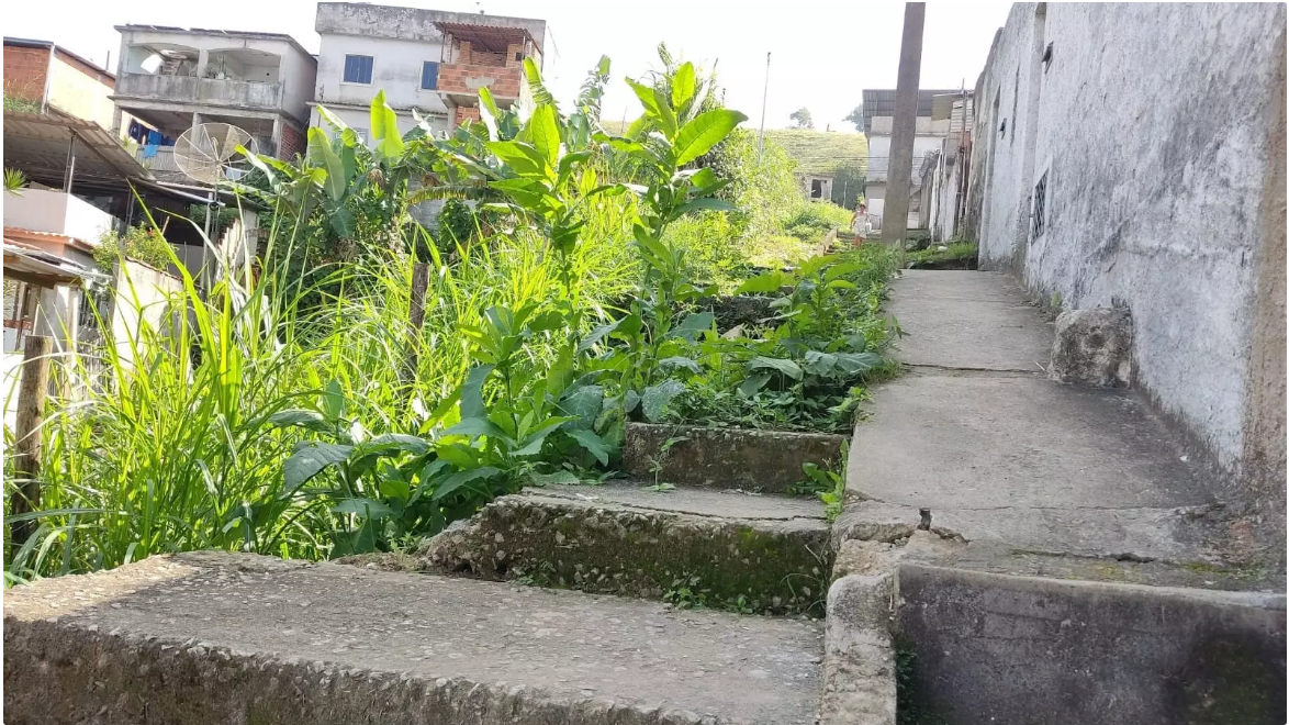 Capa: Moradores de Brotas pedem reforma em escadarias do bairro