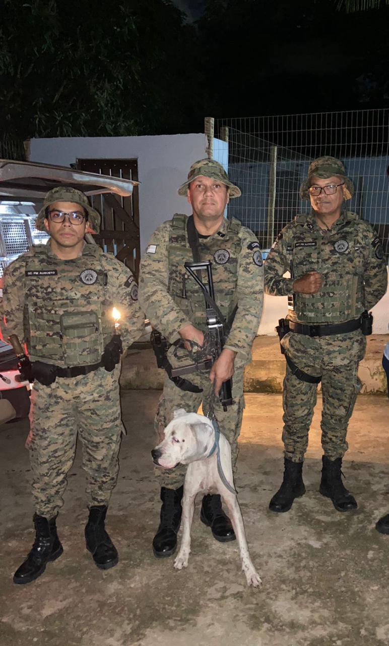 Capa: Cão que sofria maus tratos no Lobato é resgatado pela Polícia Militar