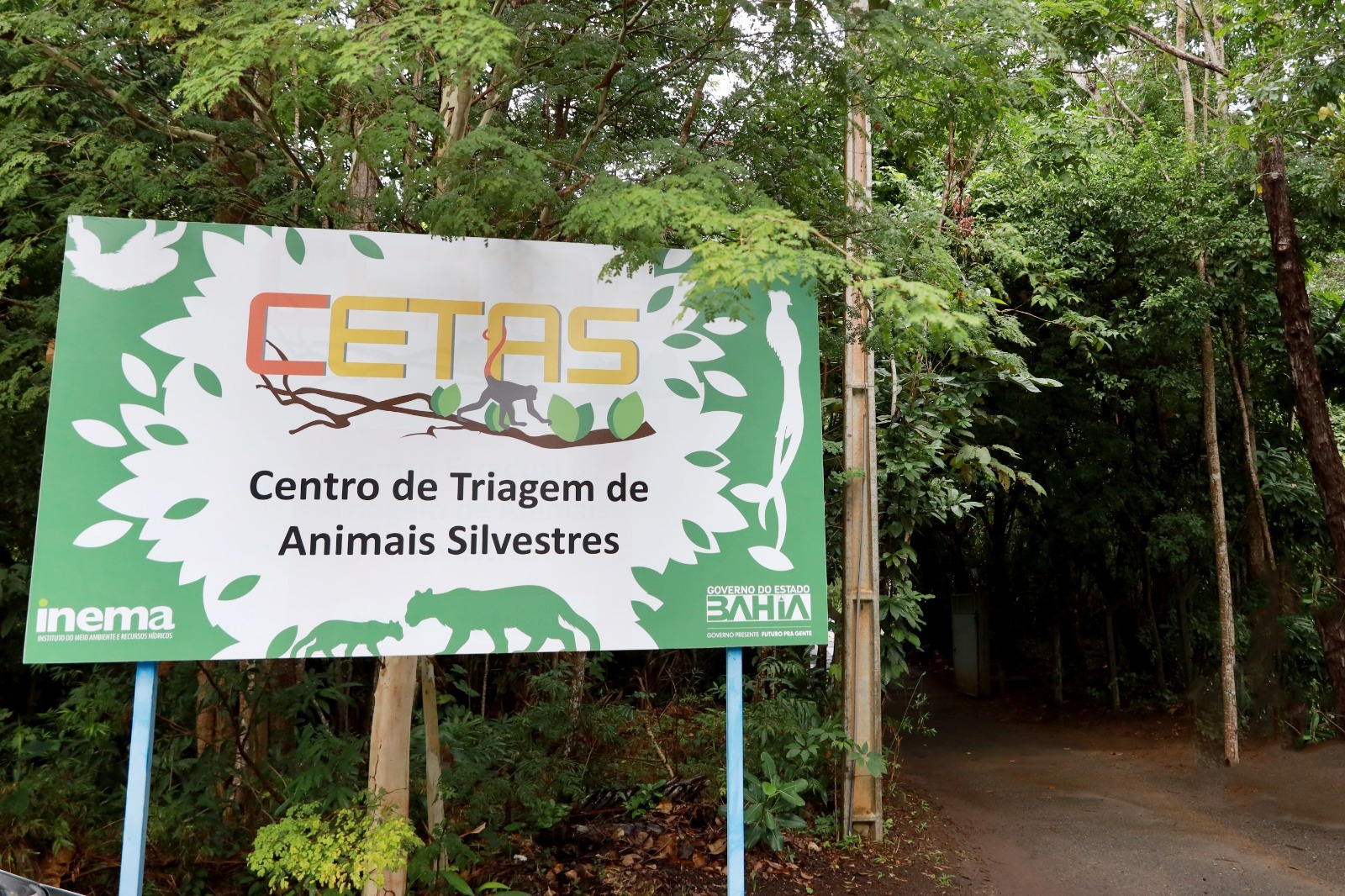 Capa: Cetas resgata mais de 3 mil animais silvestres no primeiro semestre