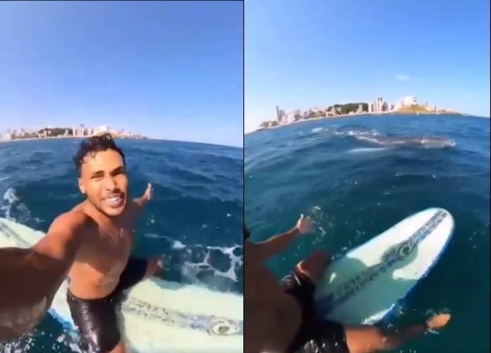 Capa: Surfista flagra baleia amamentando em praia de Salvador